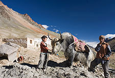 <b> photo n.10</b><br />click for enlarge