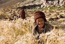 <b> photo n.13</b><br />click for enlarge