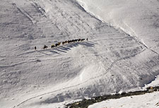 <b> photo n.20</b><br />click for enlarge