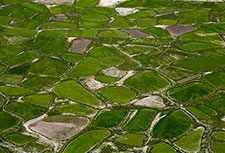 <b> photo n.24</b><br />click for enlarge