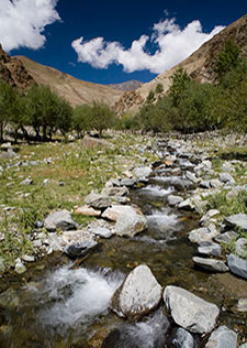 <b> photo n.29</b><br />click for enlarge