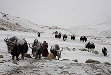 <b> photo n.31</b><br />click for enlarge