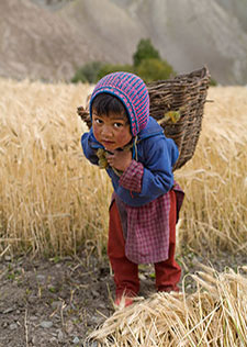 <b> photo n.35</b><br />click for enlarge