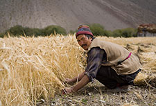 <b> photo n.36</b><br />click for enlarge