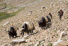 <b> photo n.4</b><br />click for enlarge