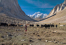 <b> photo n.42</b><br />click for enlarge