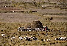 <b> photo n.85</b><br />click for enlarge