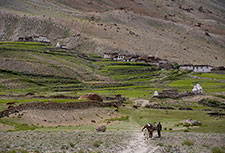 <b> photo n.49</b><br />click for enlarge