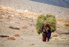 <b> photo n.63</b><br />click for enlarge