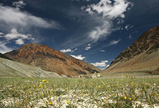 <b> photo n.73</b><br />click for enlarge