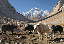 <b> photo n.74</b><br />click for enlarge