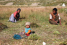 <b> photo n.81</b><br />click for enlarge