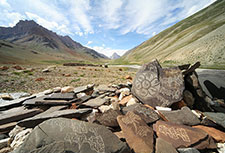 <b> photo n.82</b><br />click for enlarge