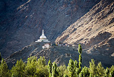 <b> photo n.86</b><br />click for enlarge